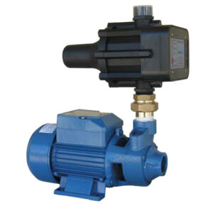 Garden Pump DT42
